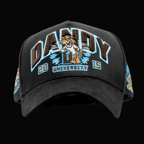 untitled design - 69 DANDY UNIVERSITY