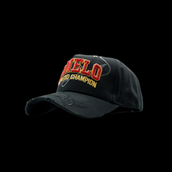 anadir-un-titulo.zip-20.png DANDY HATS x CANELO "POUND FOR POUND"